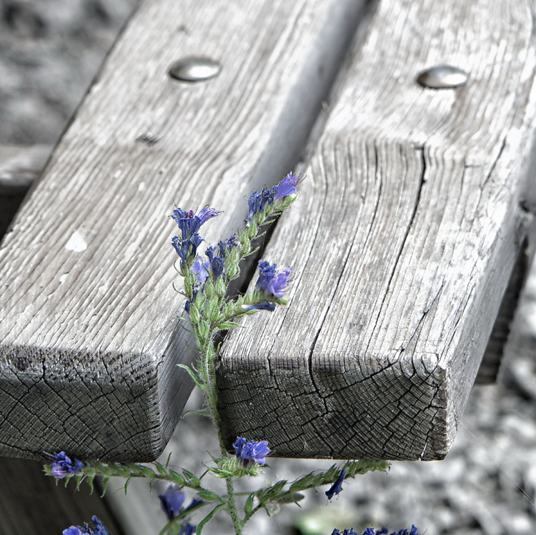 Provence 2014 +20140610_0548 als Smart-Objekt-1 Kopie.jpg